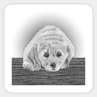 Golden Retriever Puppy Pencil Drawing Sticker